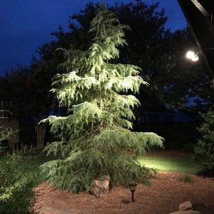 Meet your Posher, Sheila